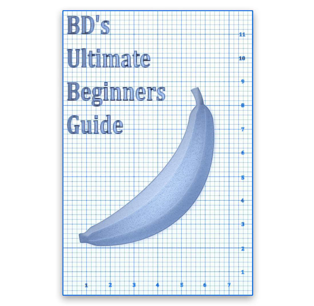 BD's Ultimate Beginners Guide eBook - PMP LLC