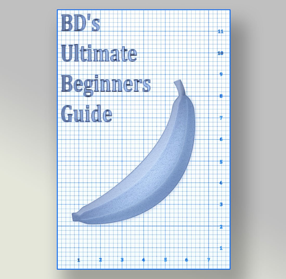 BD's Ultimate Beginners Guide eBook - PMP LLC