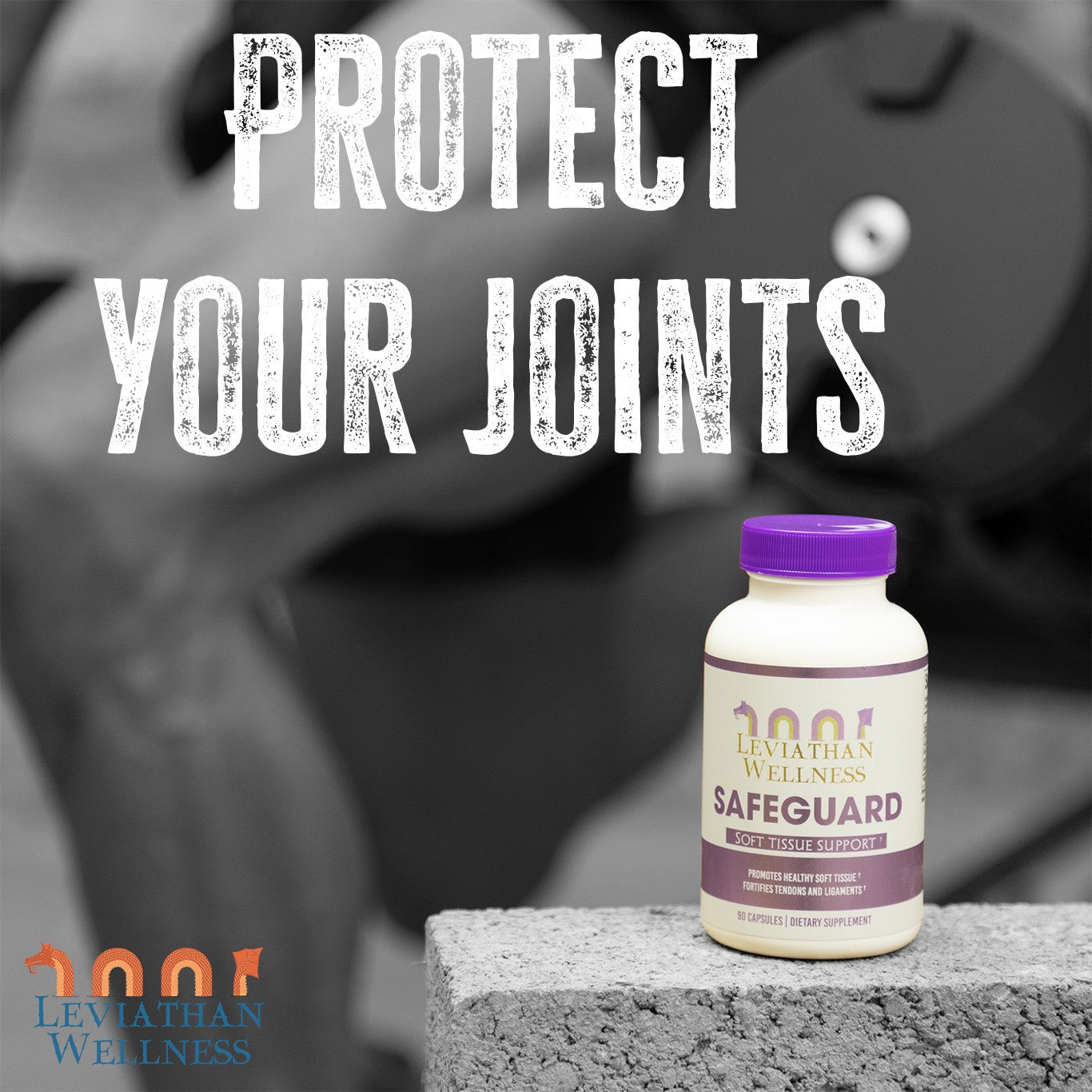 Safeguard - Soft Tissue Support by Scepter Wellness - PMP LLC