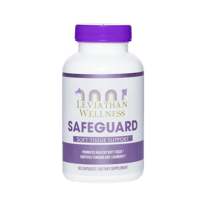 Safeguard - Soft Tissue Support by Scepter Wellness - PMP LLC