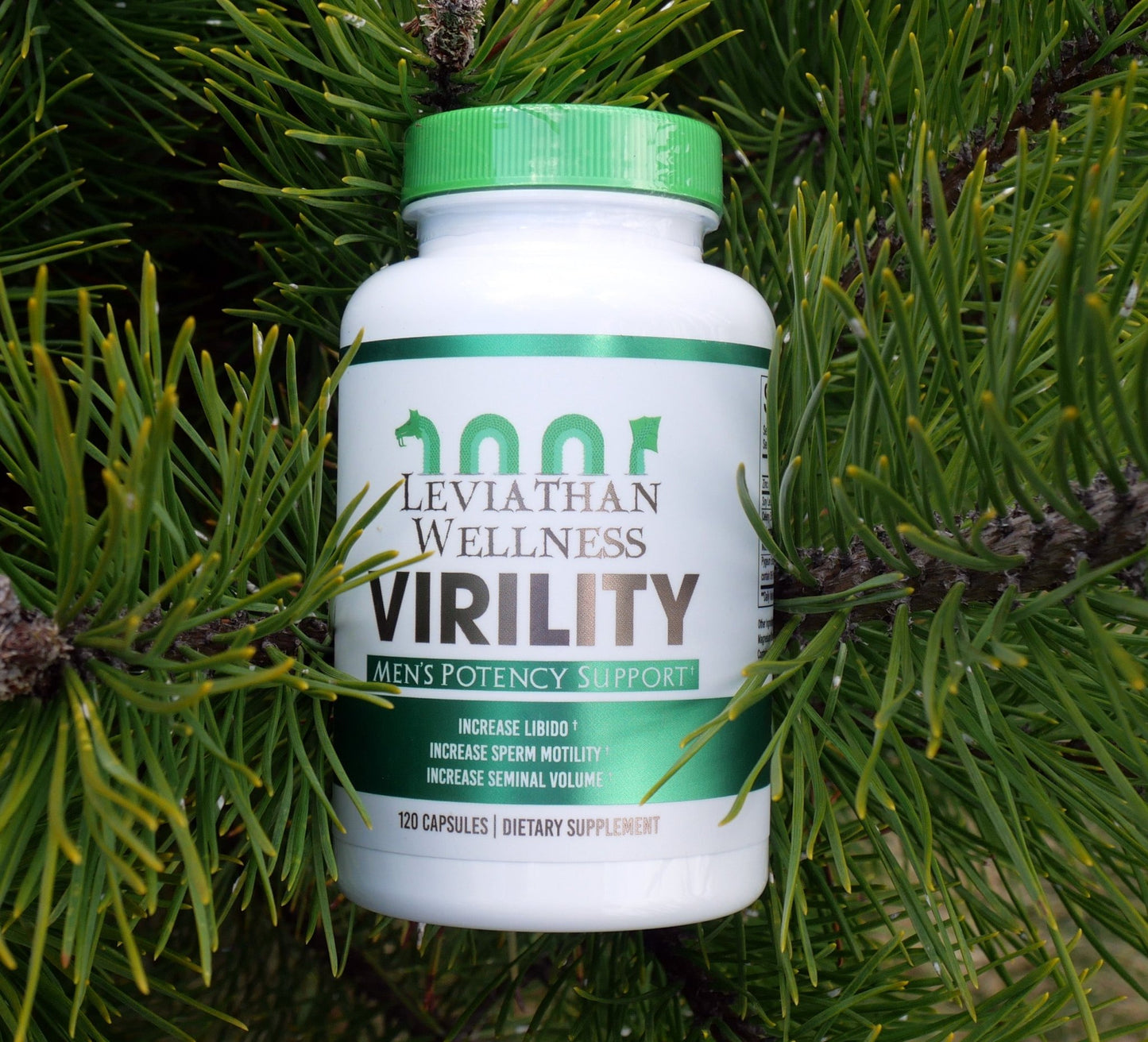 Virility - Men's Potency Support by Leviathan Wellness - PMP LLC